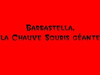 02-19-54-00-BB-6 - Barbastella chauve souris géante